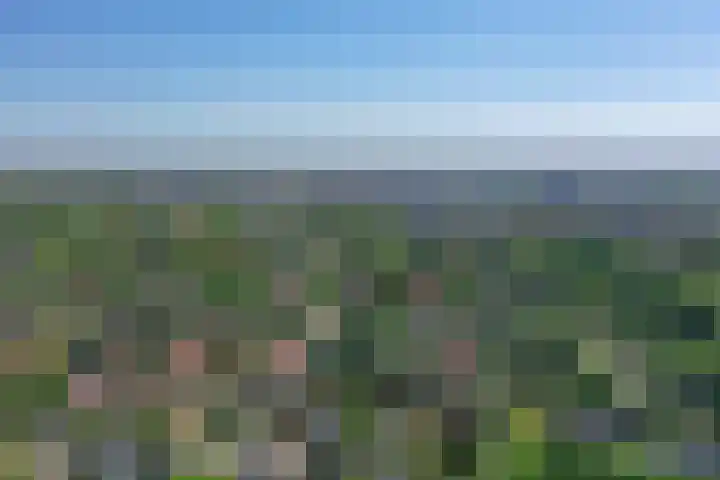 Zonnelaan 20 Hilversum thumbnail 50