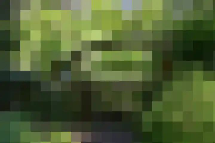 Zonnelaan 20 Hilversum thumbnail 51