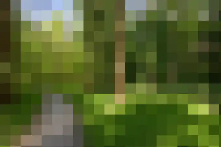 Zonnelaan 20 Hilversum thumbnail 52