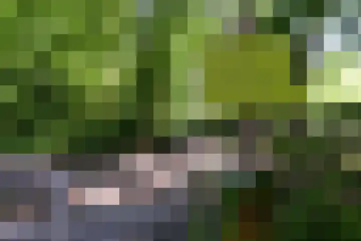 Zonnelaan 20 Hilversum thumbnail 53