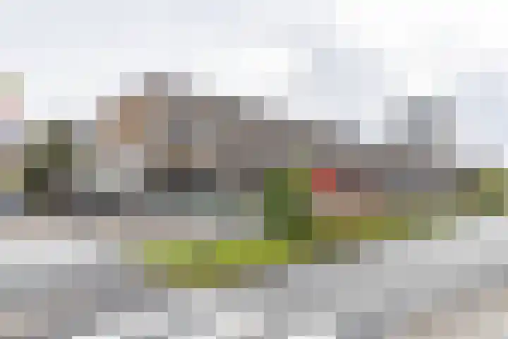 Zonnelaan 205 Groningen
