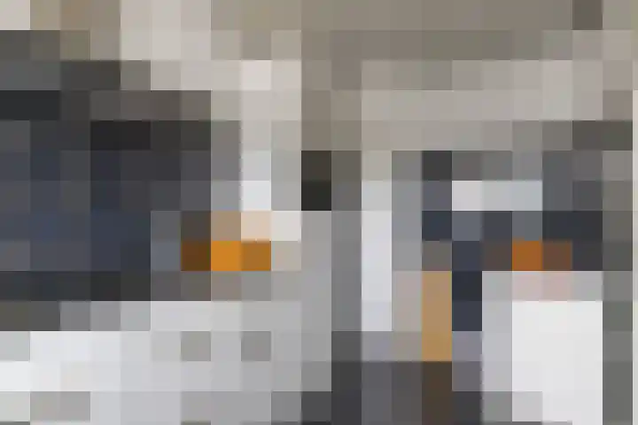 Zonnelaan 205 Groningen thumbnail 12