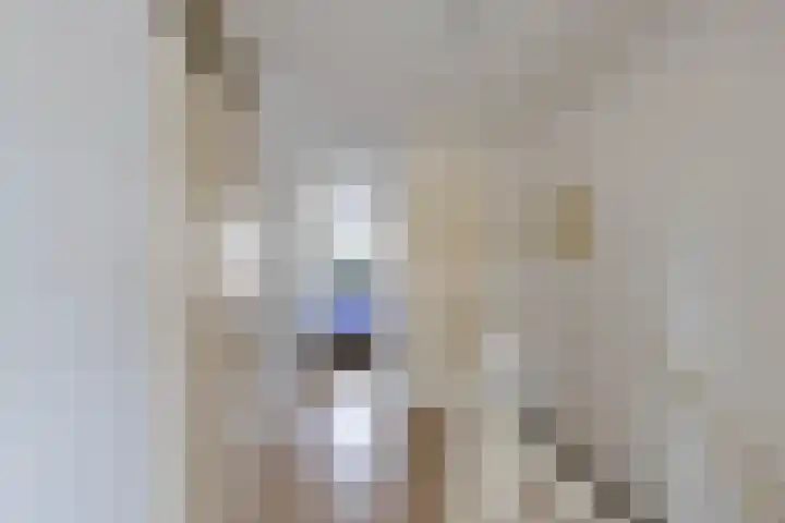 Zonnelaan 205 Groningen thumbnail 19