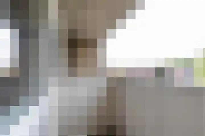 Zonnelaan 205 Groningen thumbnail 25