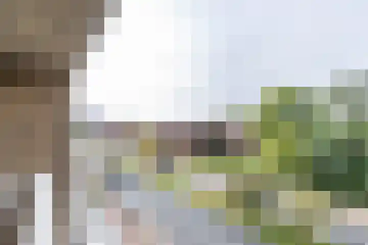 Zonnelaan 205 Groningen thumbnail 26