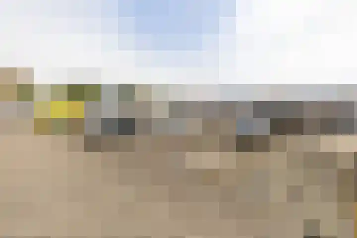 Zonnelaan 205 Groningen thumbnail 32