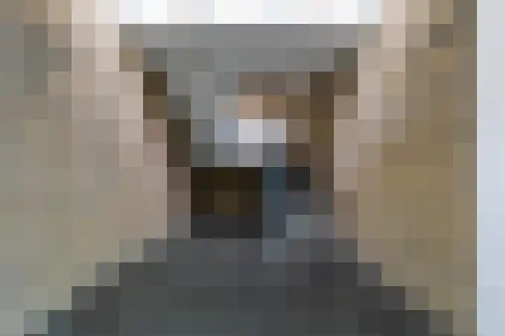 Zonnelaan 205 Groningen thumbnail 4