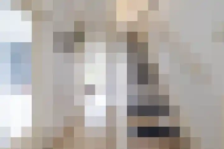 Zonnelaan 205 Groningen thumbnail 7