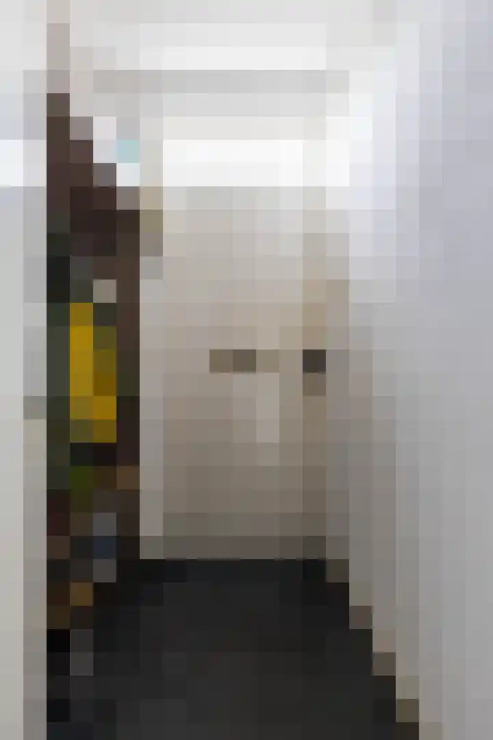 Zonnelaan 205 Groningen thumbnail 8