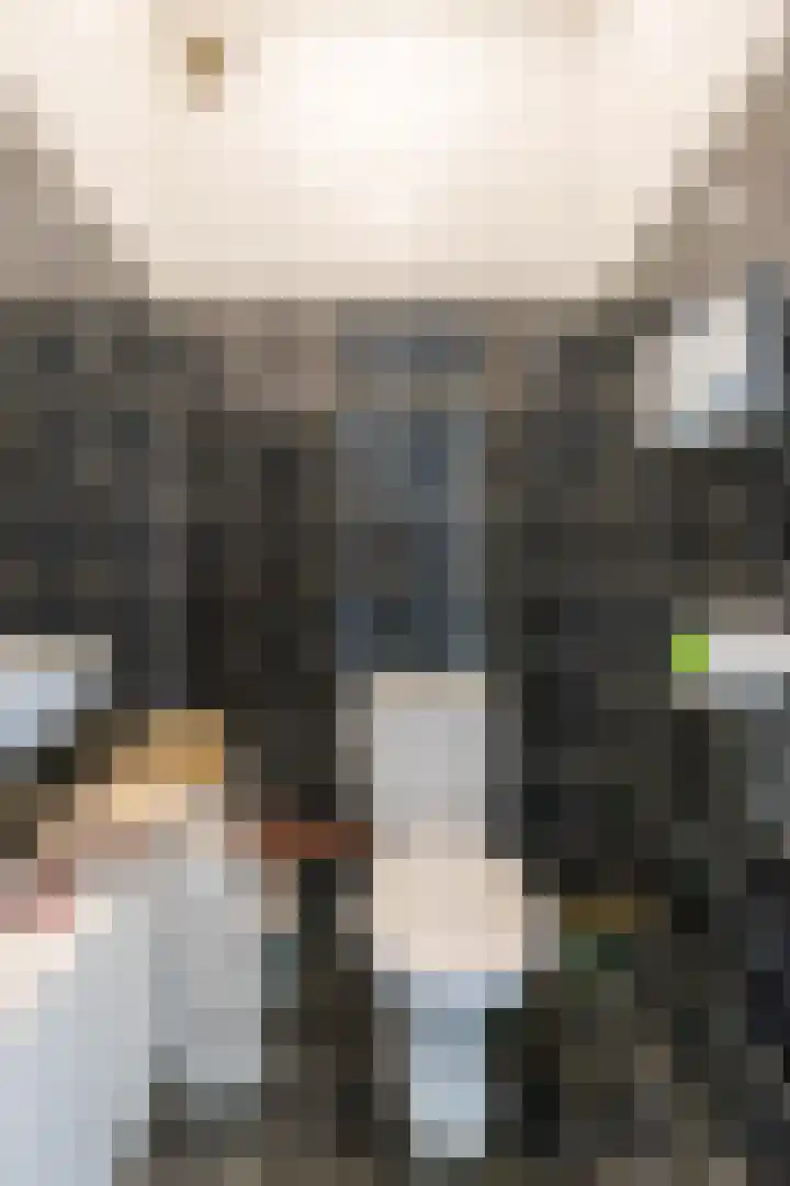 Zonnelaan 205 Groningen thumbnail 9