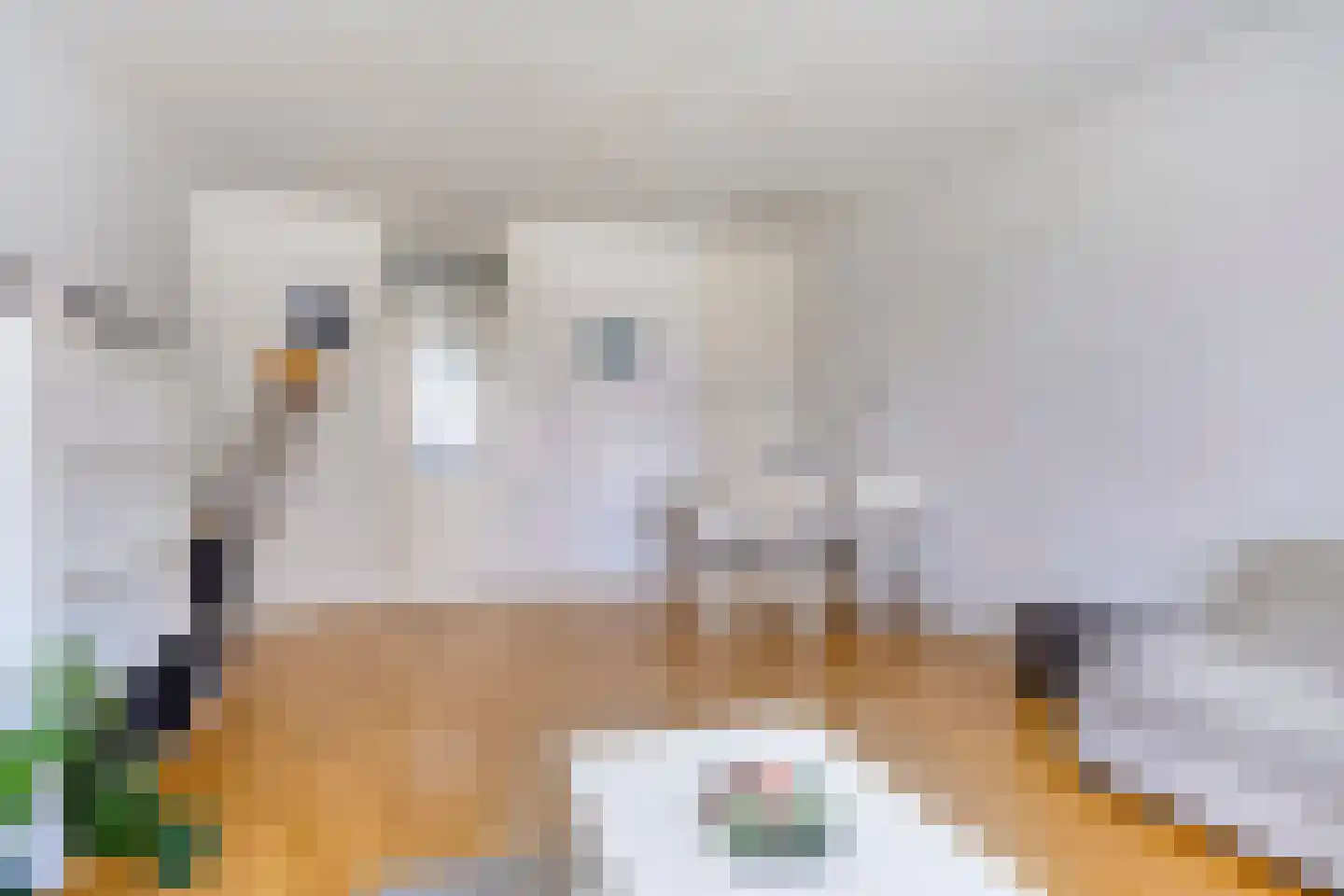Zonnelaan 227 Groningen thumbnail 20