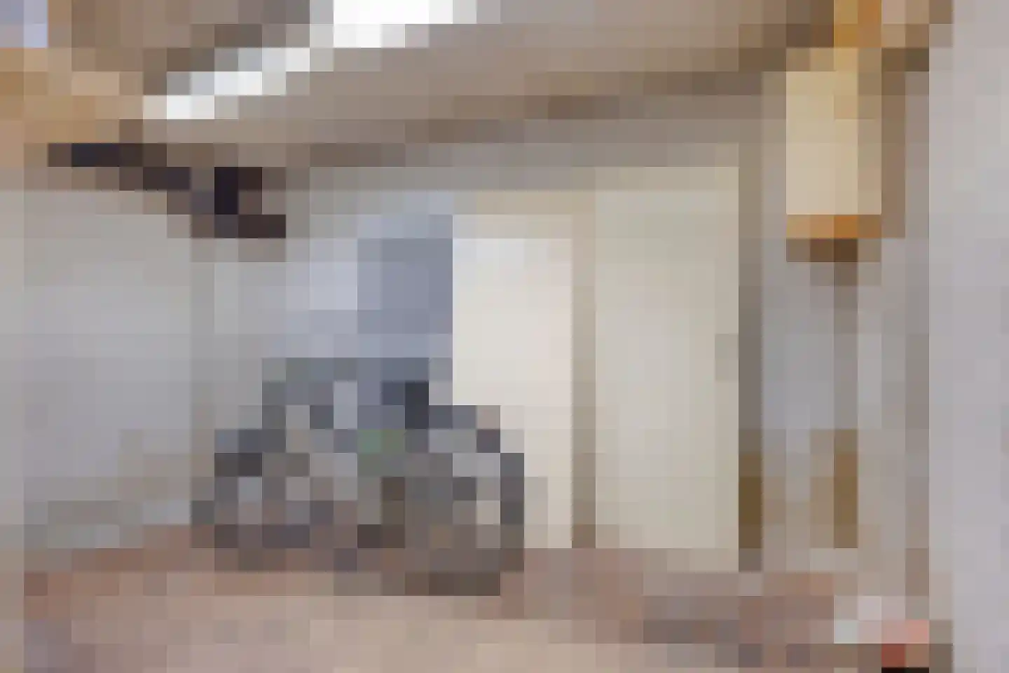 Zonnelaan 227 Groningen thumbnail 47