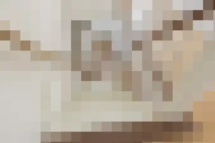 Zonnelaan 229 Groningen thumbnail 20