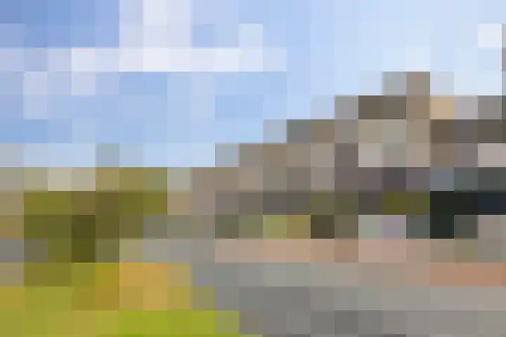 Zonnelaan 229 Groningen thumbnail 34
