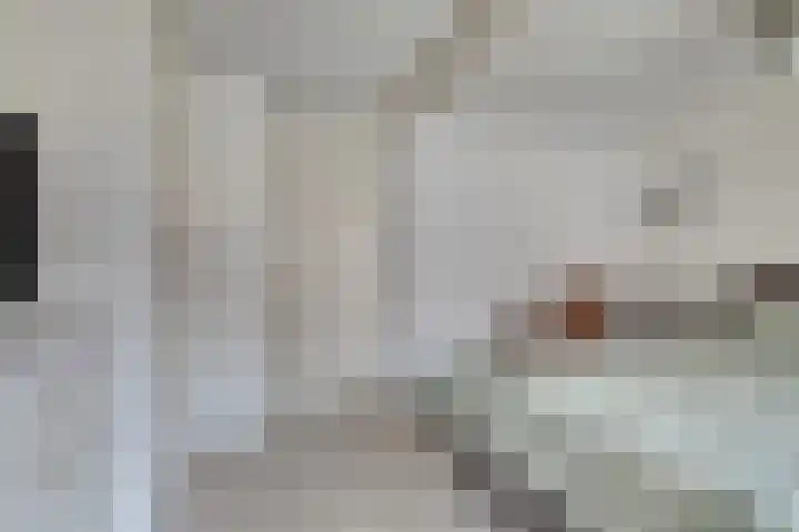 Zonnelaan 247 Groningen thumbnail 20