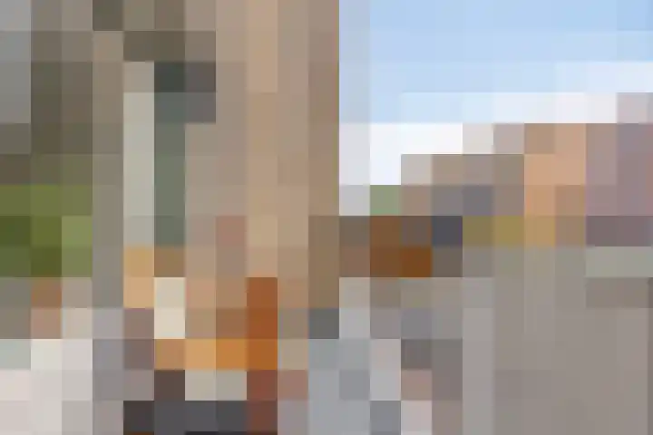 Zonnelaan 247 Groningen thumbnail 4