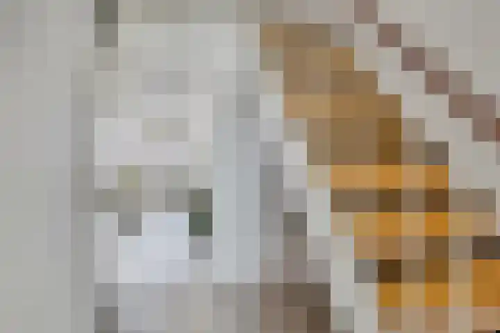 Zonnelaan 247 Groningen thumbnail 9