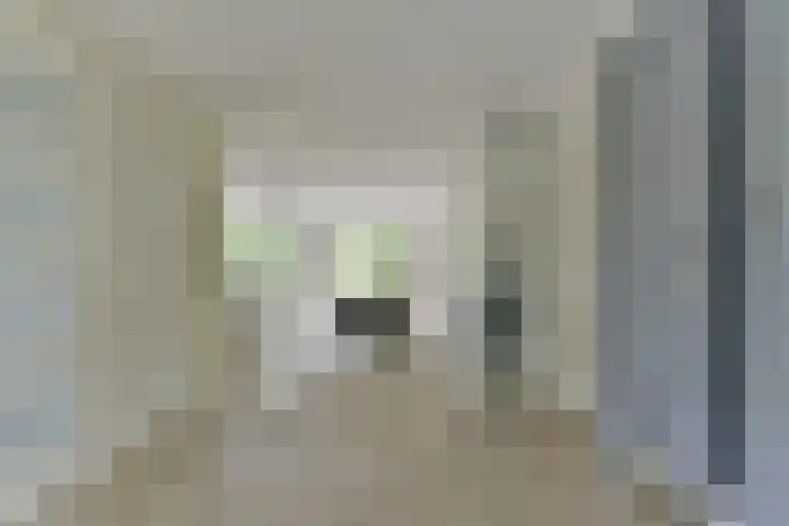 Zonnelaan 272 Huis ter Heide thumbnail 14