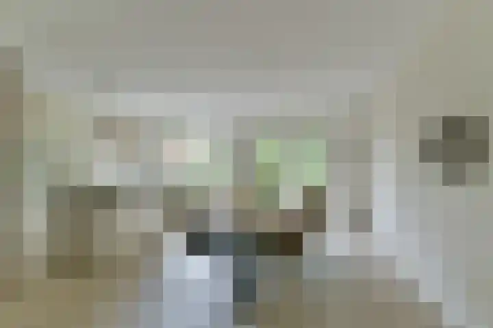 Zonnelaan 272 Huis ter Heide thumbnail 15