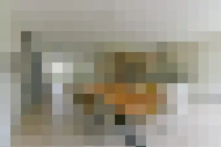 Zonnelaan 272 Huis ter Heide thumbnail 16