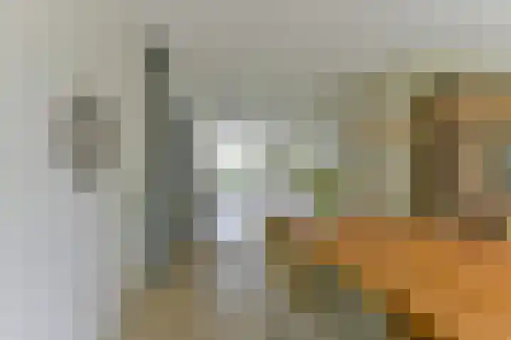 Zonnelaan 272 Huis ter Heide thumbnail 17