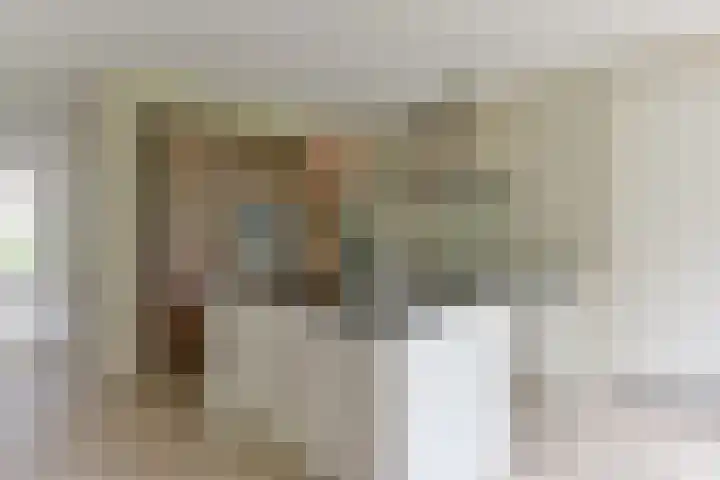 Zonnelaan 272 Huis ter Heide thumbnail 18