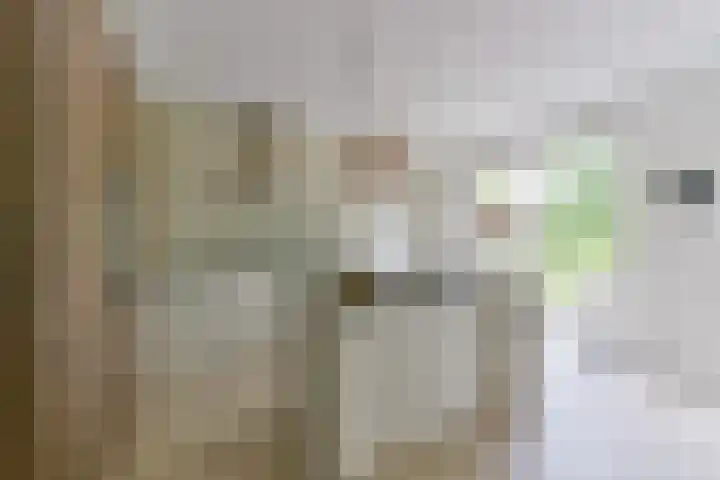 Zonnelaan 272 Huis ter Heide thumbnail 19