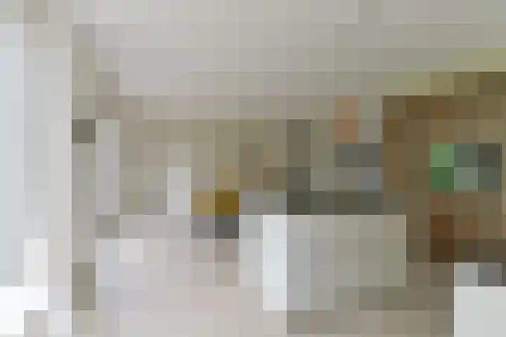 Zonnelaan 272 Huis ter Heide thumbnail 21