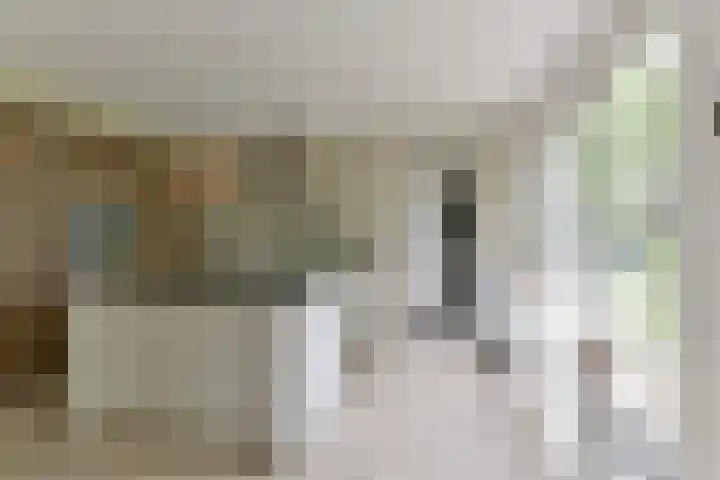 Zonnelaan 272 Huis ter Heide thumbnail 22