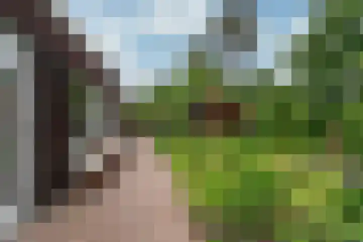 Zonnelaan 272 Huis ter Heide thumbnail 24