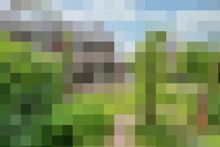Zonnelaan 272 Huis ter Heide thumbnail 25
