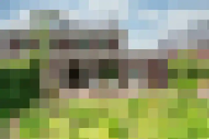 Zonnelaan 272 Huis ter Heide thumbnail 26