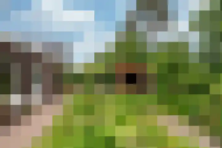 Zonnelaan 272 Huis ter Heide thumbnail 27