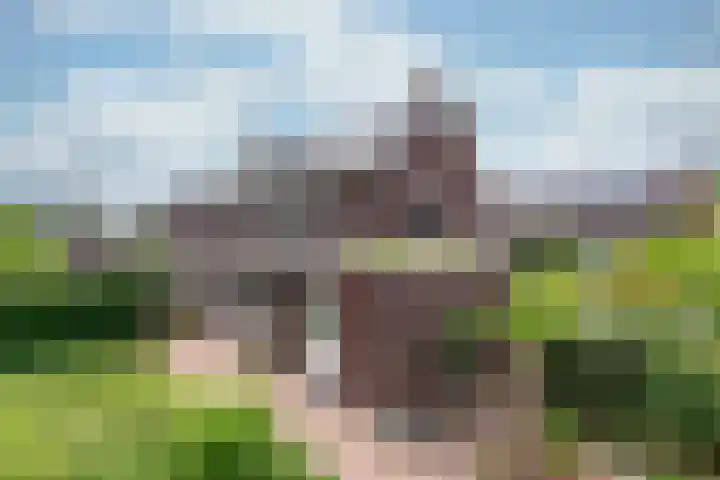 Zonnelaan 272 Huis ter Heide thumbnail 31