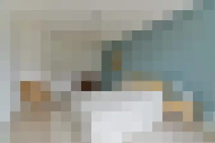 Zonnelaan 272 Huis ter Heide thumbnail 34