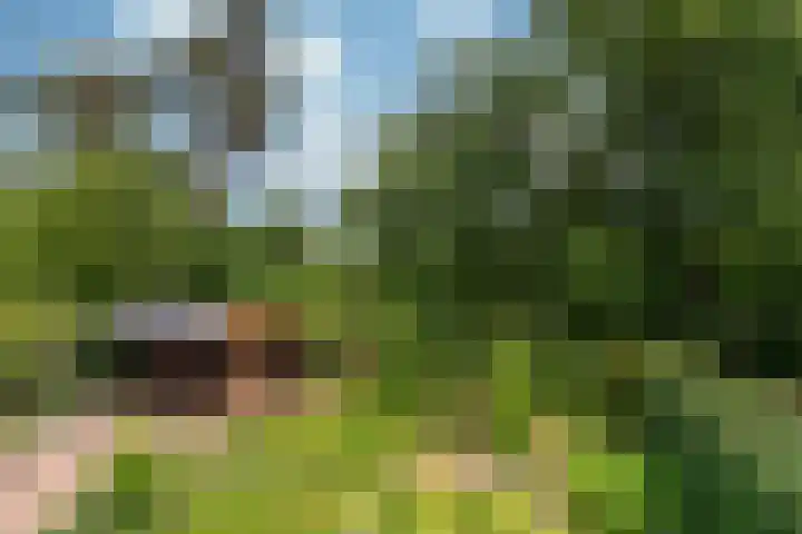 Zonnelaan 272 Huis ter Heide thumbnail 36