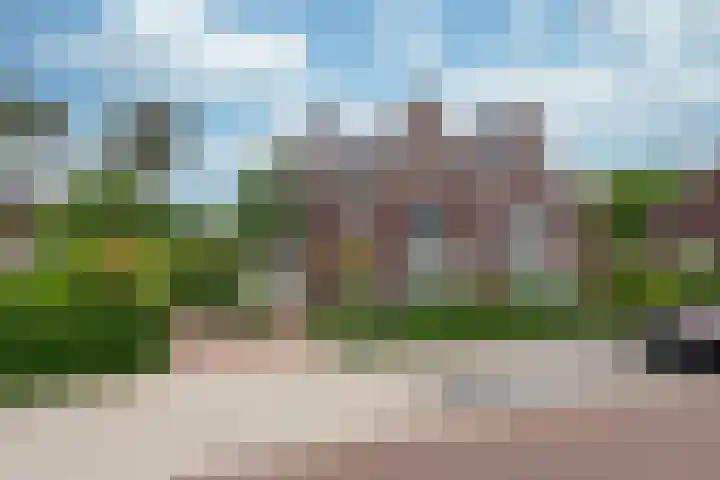 Zonnelaan 272 Huis ter Heide thumbnail 4