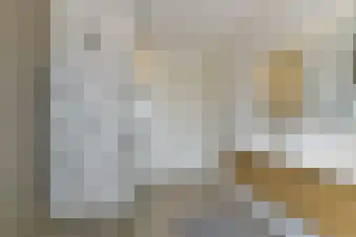 Zonnelaan 272 Huis ter Heide thumbnail 43