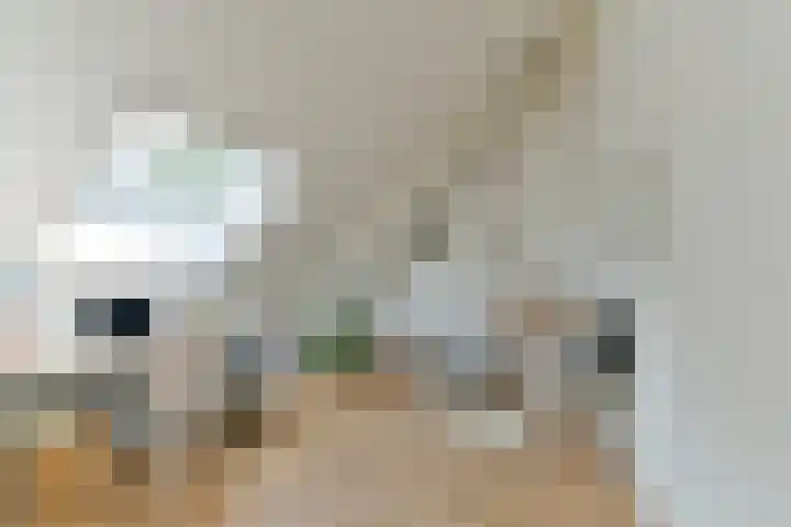 Zonnelaan 272 Huis ter Heide thumbnail 46