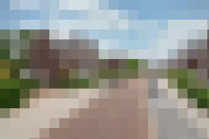 Zonnelaan 272 Huis ter Heide thumbnail 5