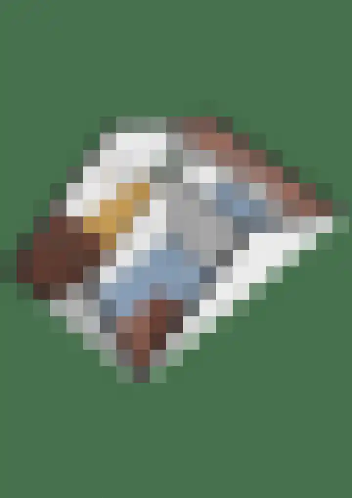 Zonnelaan 272 Huis ter Heide thumbnail 56