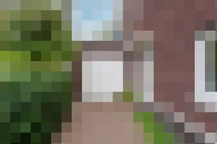 Zonnelaan 272 Huis ter Heide thumbnail 6