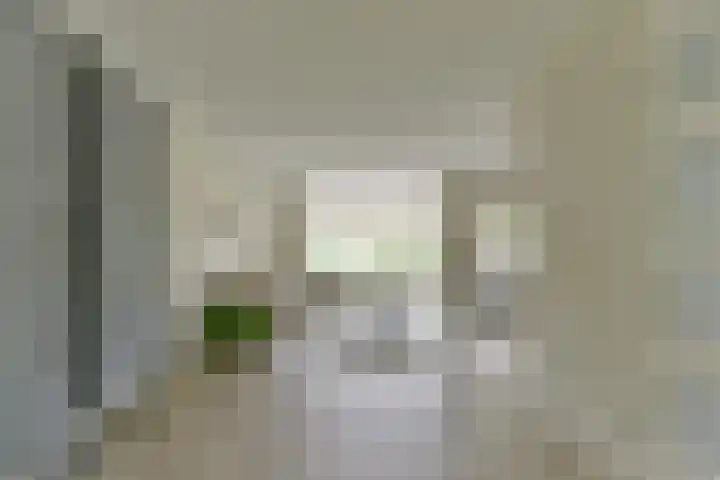 Zonnelaan 272 Huis ter Heide thumbnail 8