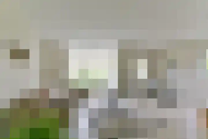 Zonnelaan 272 Huis ter Heide thumbnail 9