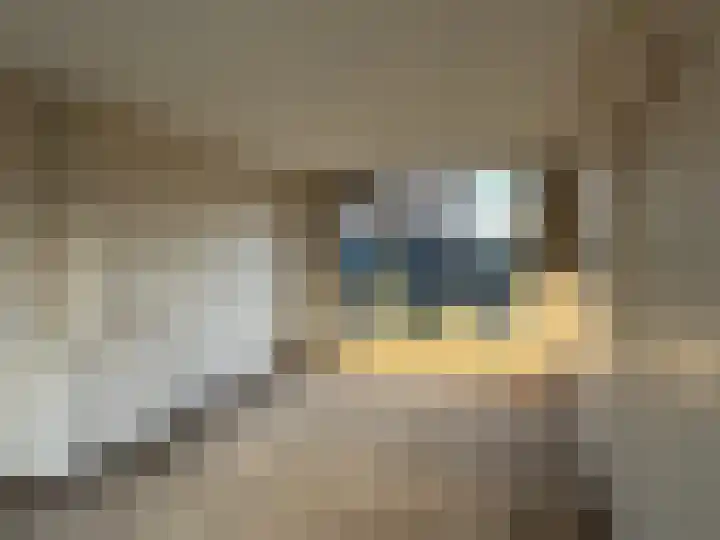 Zonnelaan 31 Purmerend thumbnail 8