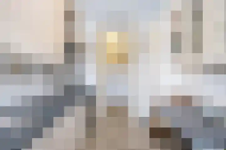 Zonnelaan 319 Groningen thumbnail 17