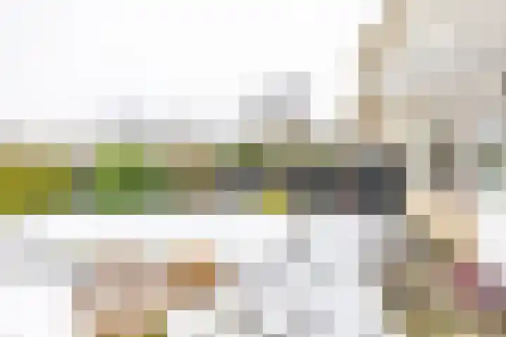 Zonnelaan 319 Groningen thumbnail 28