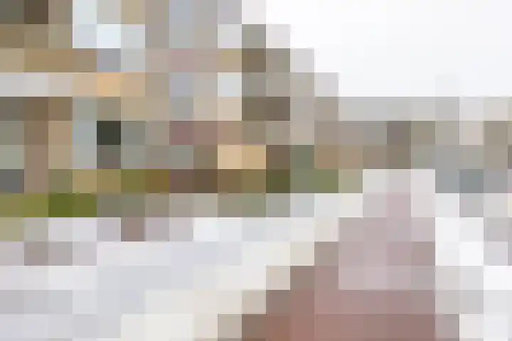 Zonnelaan 319 Groningen thumbnail 35