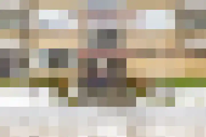 Zonnelaan 319 Groningen thumbnail 5
