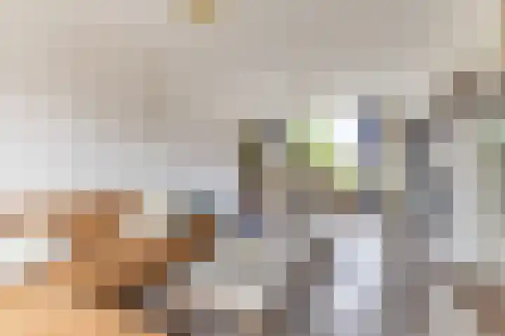 Zonnelaan 37 Purmerend thumbnail 13